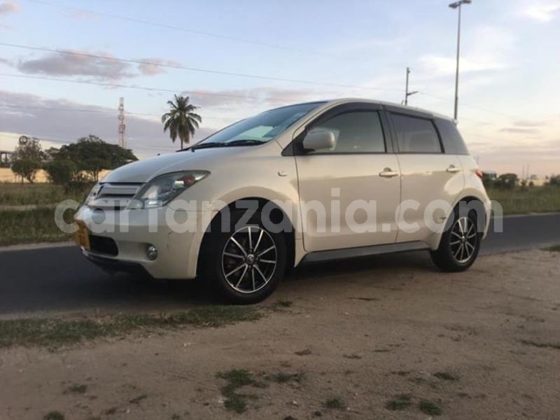 Big with watermark 43531138 137428657219667 7411082587415773184 n