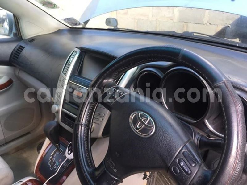 Big with watermark 44789865 137150380580828 8991661888425164800 n