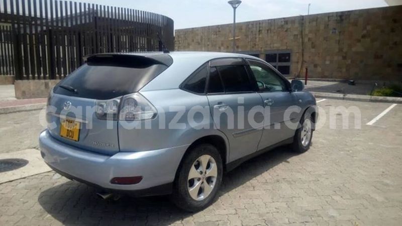 Big with watermark 44696041 137150203914179 2531468288496500736 n