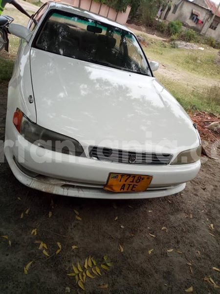 Big with watermark 44916267 137412120554654 376871620603543552 n