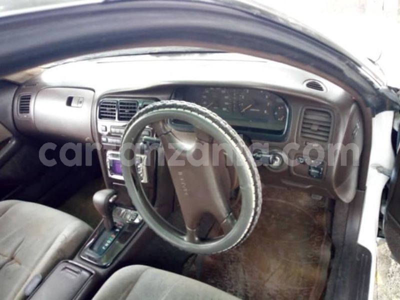 Big with watermark 44884024 137412640554602 6386947730173853696 n