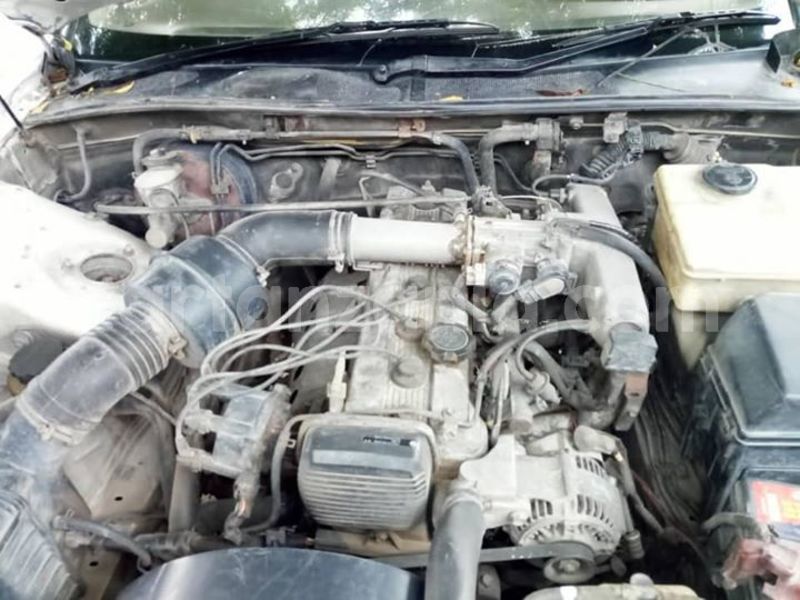 Big with watermark 44869187 137412487221284 4059854296521375744 n