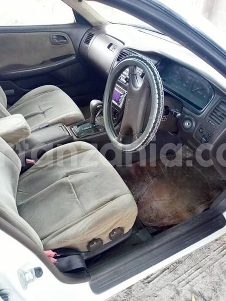 Big with watermark 44758942 137412377221295 1365144523126079488 n