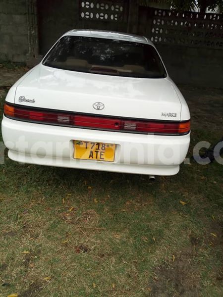 Big with watermark 44803254 137411897221343 9221728352870596608 n