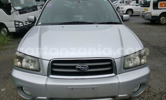 Buy Used Subaru Forester Silver Car in Dar es Salaam in Dar es Salaam Buy Used Subaru Forester Silver Car in Dar es Salaam in Dar es Salaam