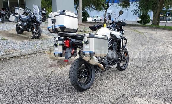 Buy Used Triumph Tiger Other Bike in Morogoro in Morogoro Buy Used Triumph Tiger Other Bike in Morogoro in Morogoro