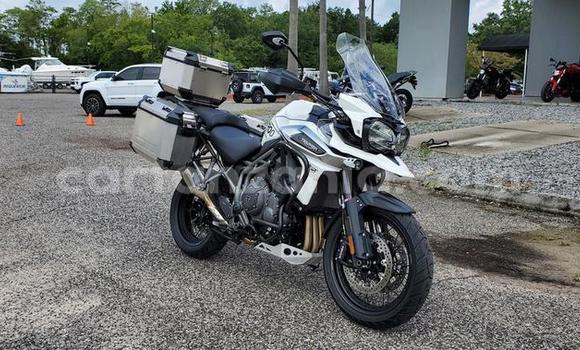 Buy Used Triumph Tiger Other Bike in Morogoro in Morogoro Buy Used Triumph Tiger Other Bike in Morogoro in Morogoro