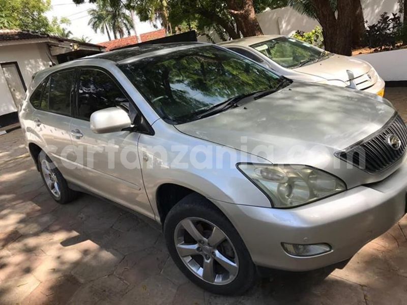 Big with watermark 43729496 2340230199352810 781970243017768960 n