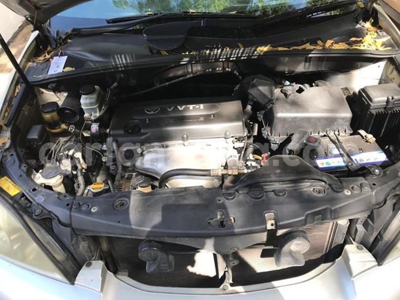 Big with watermark 44811232 2340230436019453 6694082761361195008 n