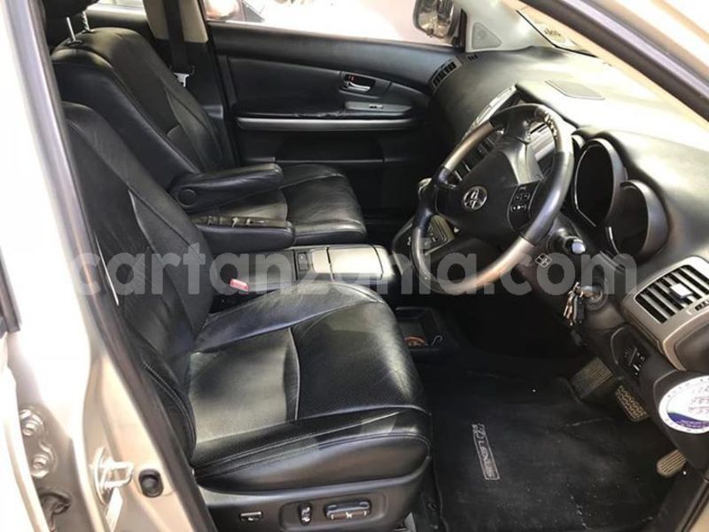 Big with watermark 43624169 2340230409352789 8238110082500395008 n