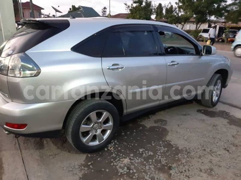 Big with watermark 44771145 2340230312686132 1218386779111948288 n