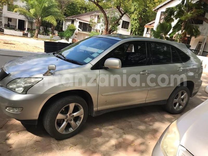 Big with watermark 44872785 2340230269352803 440314712836538368 n