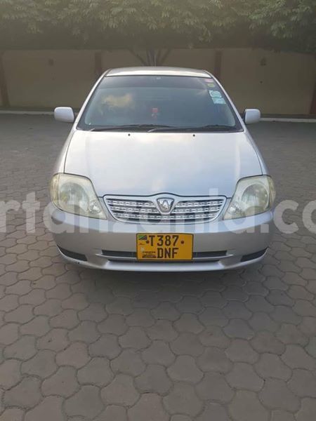 Big with watermark 44566085 778447965867131 3688800819005620224 n