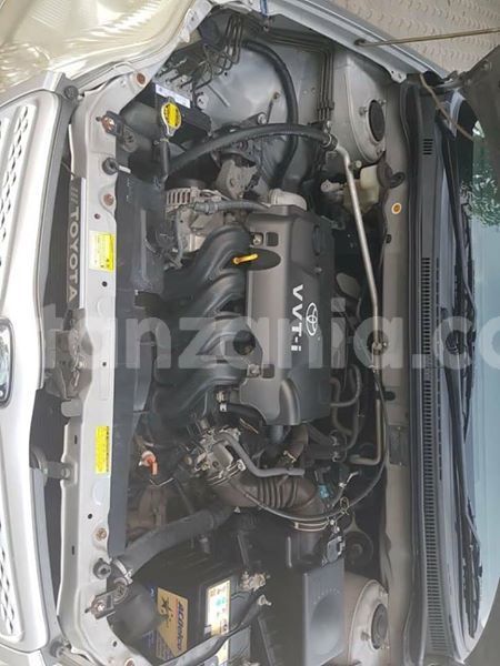 Big with watermark 44557246 778448025867125 3426363830295330816 n