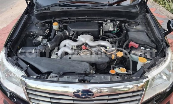 Nunua Ilio tumika Subaru Forester Nyeusi Gari ndani ya Dar es Salaam nchini Dar es Salaam Nunua Ilio tumika Subaru Forester Nyeusi Gari ndani ya Dar es Salaam nchini Dar es Salaam