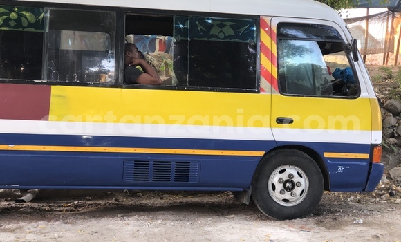 Buy Used Toyota Coaster Blue Car in Dar es Salaam in Dar es Salaam