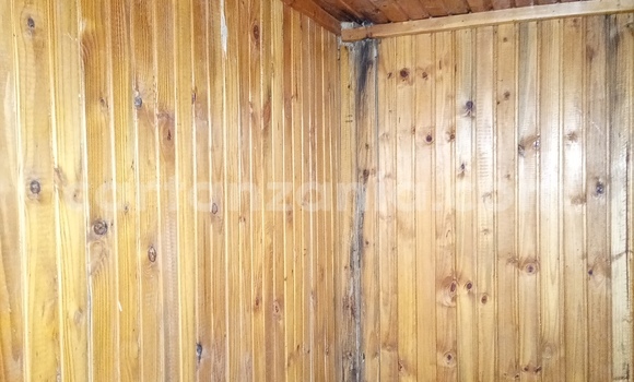 Buy Used Scania 113–320 Other Truck in Iringa in Iringa Buy Used Scania 113–320 Other Truck in Iringa in Iringa