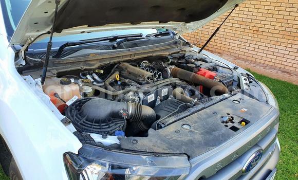 Buy Used Ford Ranger White Car in Arusha in Arusha Buy Used Ford Ranger White Car in Arusha in Arusha