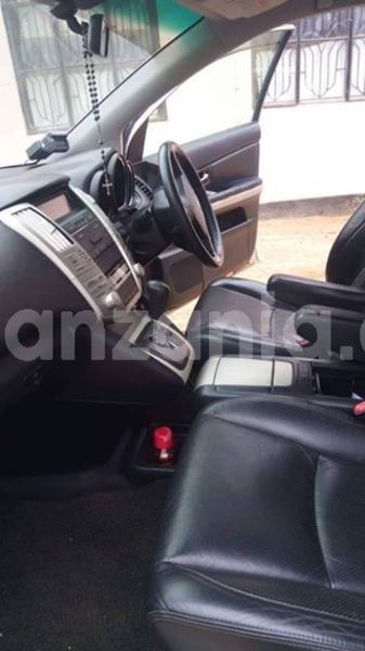 Big with watermark 45691307 2153524611633273 1172457133287931904 n