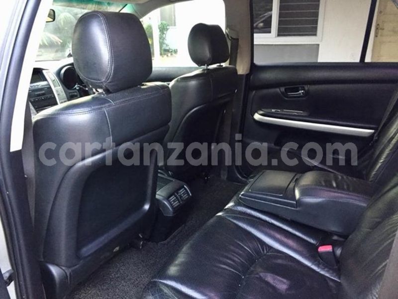 Big with watermark 45746829 2153524531633281 4337580625776082944 o