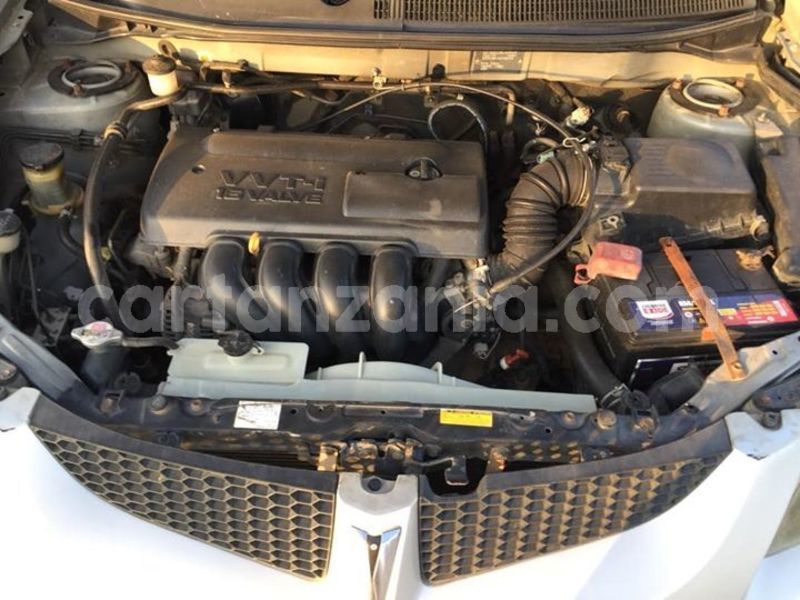 Big with watermark 45729885 2153216134997454 5989723423490703360 o