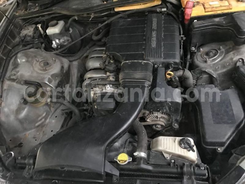 Big with watermark 45441962 2151095085209559 1664482522223869952 o