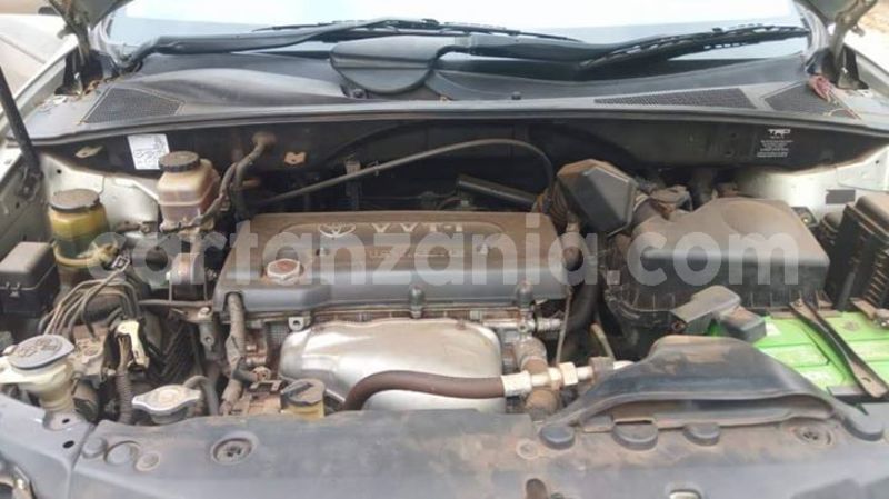 Big with watermark 45000745 2146946355624432 5477194251525685248 o