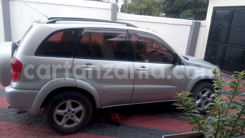 Big with watermark 46154987 162171848073494 4141657751174512640 n