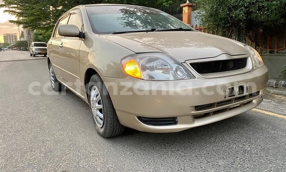 Buy Used Toyota Runx Brown Car in Dar es Salaam in Dar es Salaam Buy Used Toyota Runx Brown Car in Dar es Salaam in Dar es Salaam