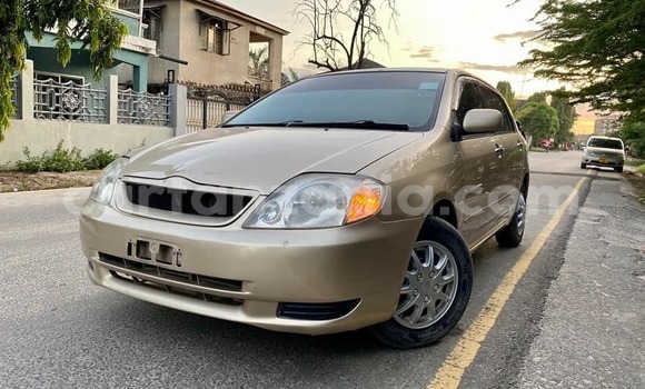 Buy Used Toyota Runx Brown Car in Dar es Salaam in Dar es Salaam Buy Used Toyota Runx Brown Car in Dar es Salaam in Dar es Salaam