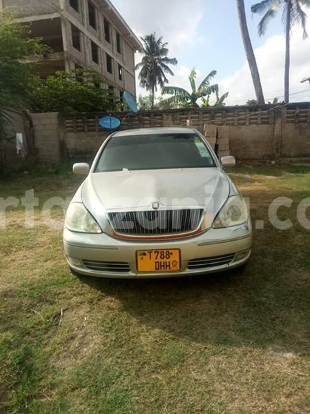 Big with watermark 46139994 162357191388293 646871277922942976 n