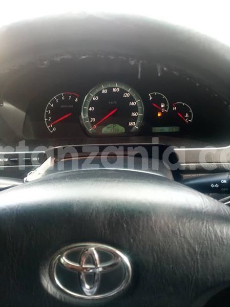 Big with watermark 46211000 162357254721620 7882042085182799872 n