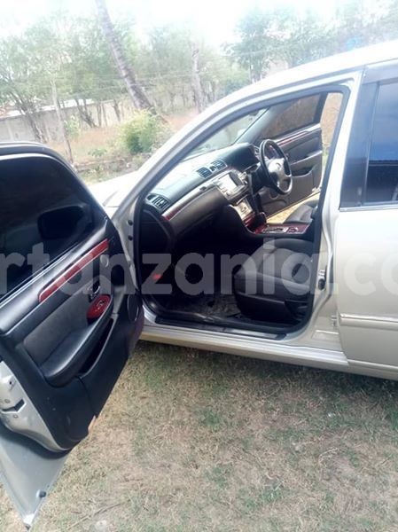 Big with watermark 45885830 162357228054956 9103860495919611904 n