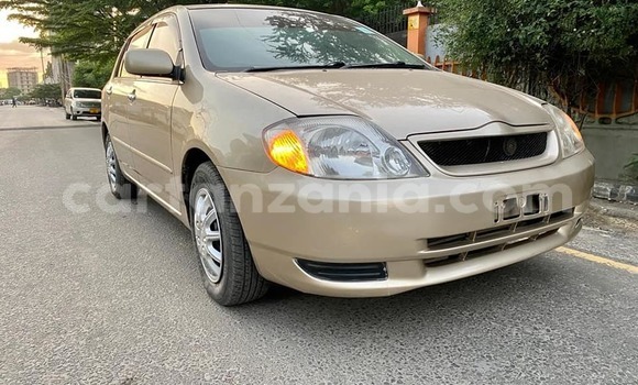 Buy Used Toyota Allex Brown Car in Dar es Salaam in Dar es Salaam Buy Used Toyota Allex Brown Car in Dar es Salaam in Dar es Salaam