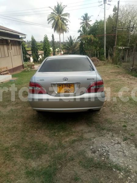 Big with watermark 46098203 162357211388291 8794106617013469184 n