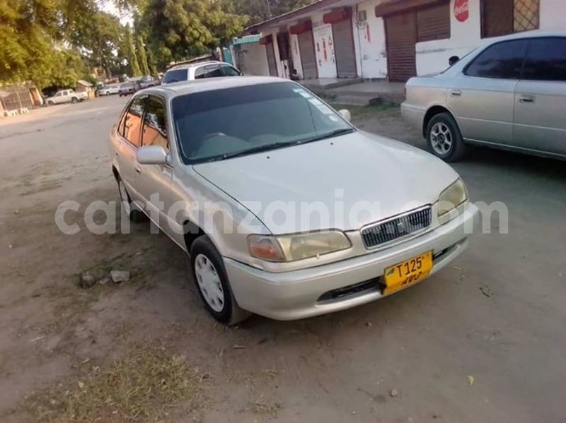 Big with watermark 46255411 162332778057401 6995028598646112256 n