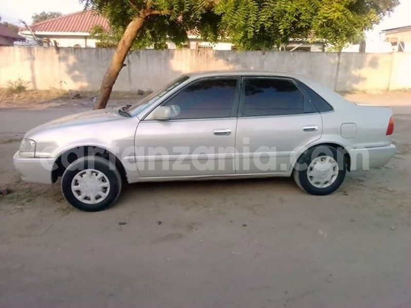 Big with watermark 46112801 162332761390736 7428196232499036160 n