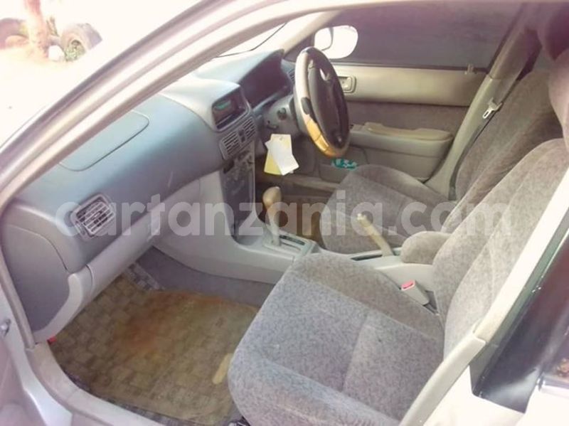 Big with watermark 46123174 162332741390738 1978749432505565184 n