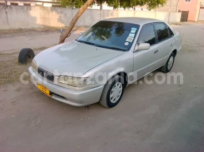 Big with watermark 46087494 162332718057407 7293413376997195776 n