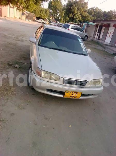 Big with watermark 46027141 162332694724076 1109981306344701952 n