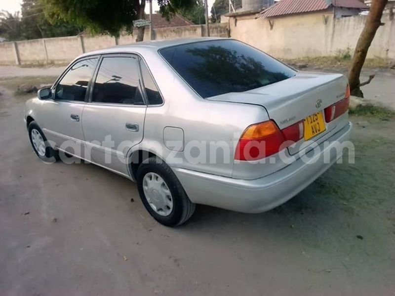 Big with watermark 46226905 162332678057411 5589935111526154240 n