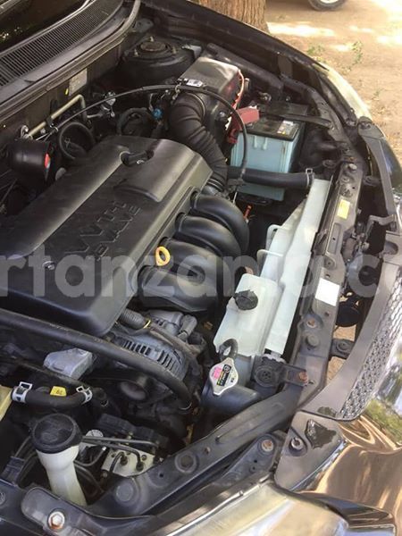 Big with watermark 45984647 161959754761370 8166450533146558464 n