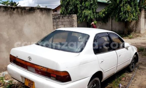 Nunua Ilio tumika Toyota Corolla Nyeupe Gari ndani ya Dar es Salaam nchini Dar es Salaam Nunua Ilio tumika Toyota Corolla Nyeupe Gari ndani ya Dar es Salaam nchini Dar es Salaam