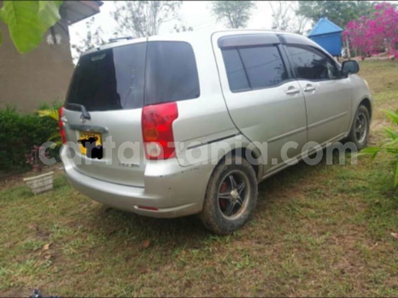 Big with watermark 46045294 161747834782562 368951859823509504 n