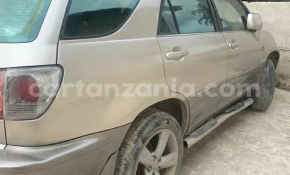 Nunua Ilio tumika Toyota Harrier Beige Gari ndani ya Dar es Salaam nchini Dar es Salaam