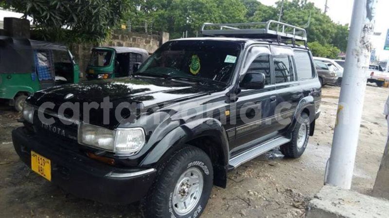 Big with watermark 45887824 161102158180463 2887231862827122688 n