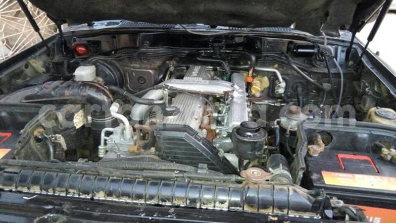 Big with watermark 45876449 161102231513789 6791478686760566784 n