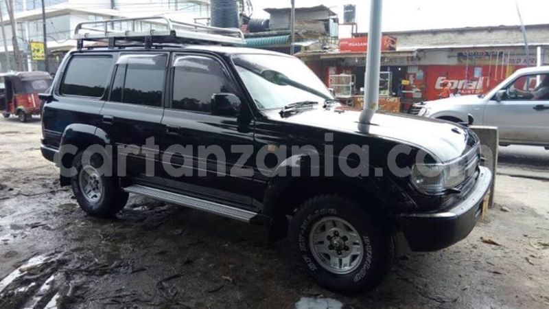 Big with watermark 45837034 161102198180459 8504678400252706816 n