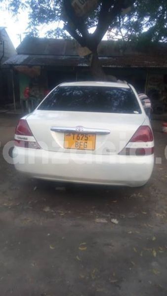 Big with watermark 45863694 161007974856548 4799778463273713664 n