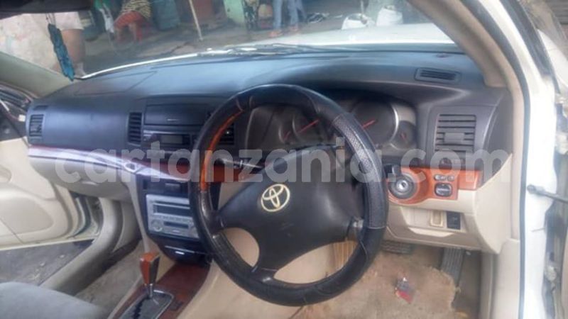 Big with watermark 45825704 161007998189879 8632921467966717952 n